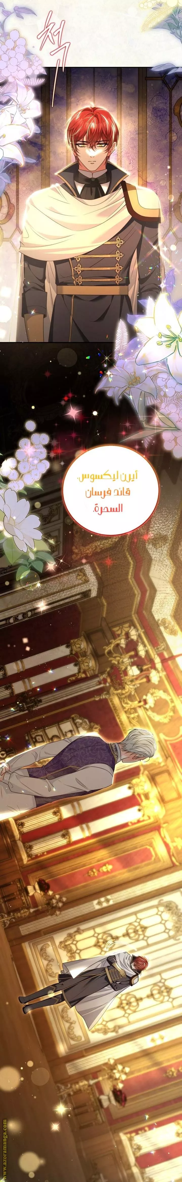 الصفحة 25