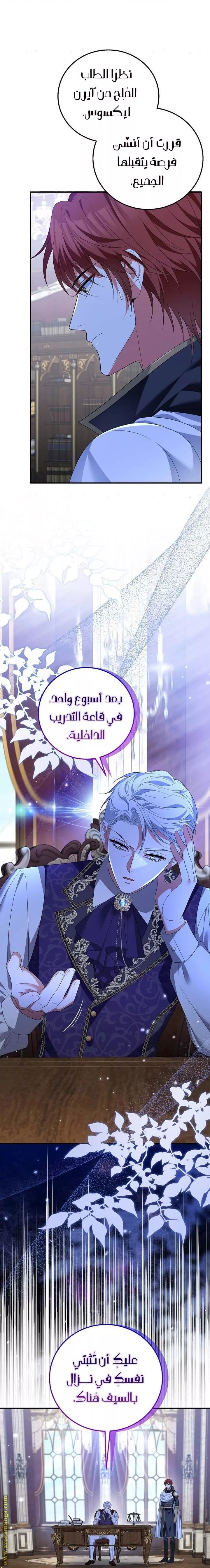 الصفحة 26