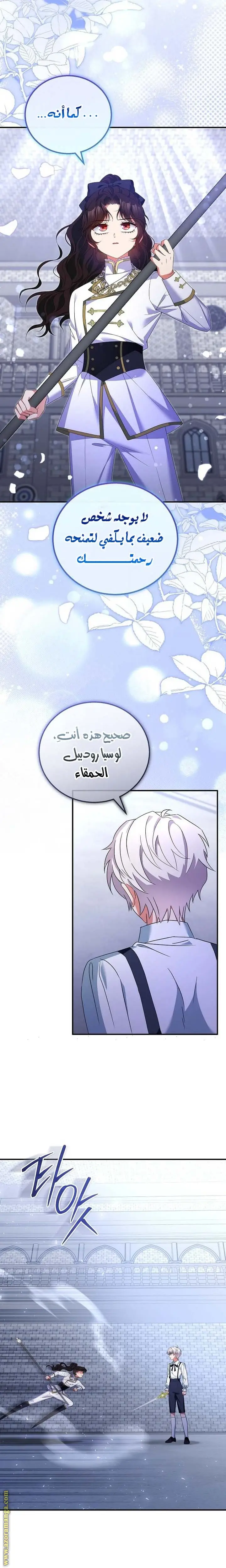 الصفحة 29