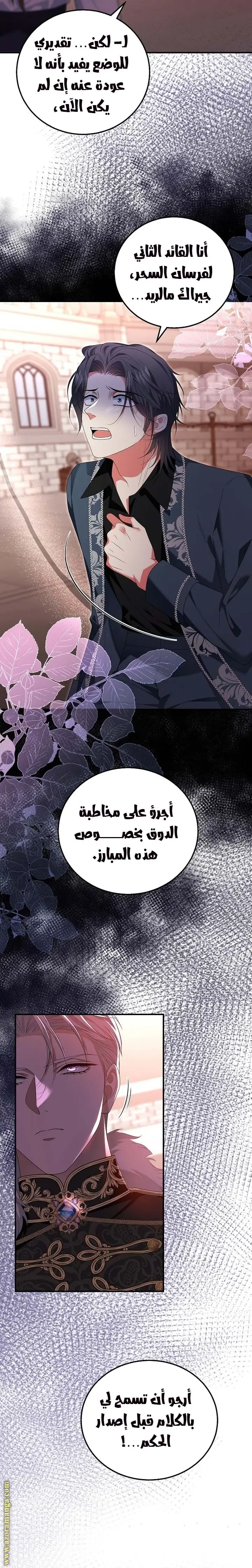 الصفحة 17