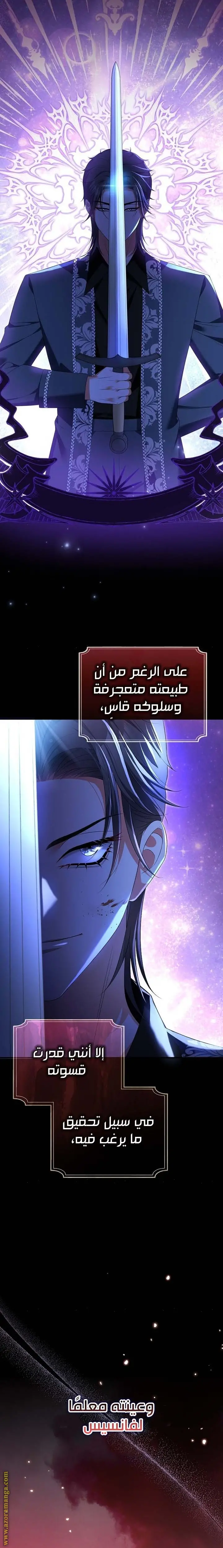الصفحة 26