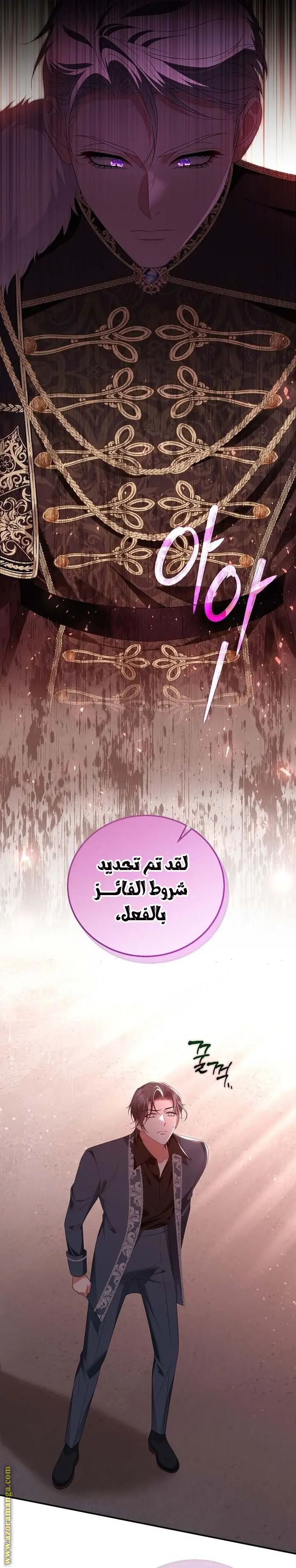 الصفحة 29