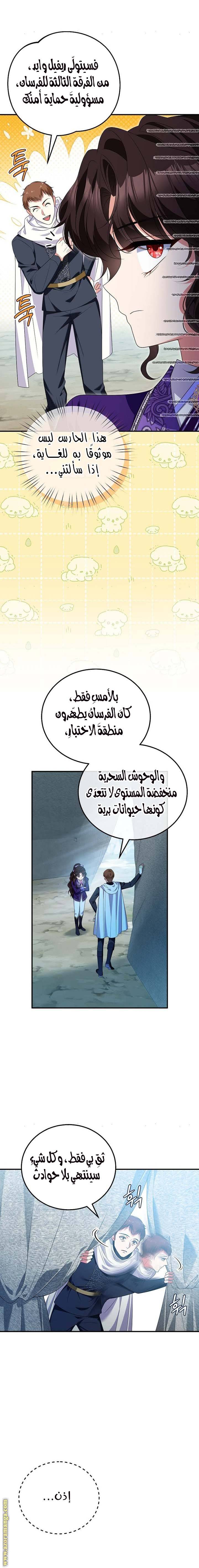 الصفحة 13