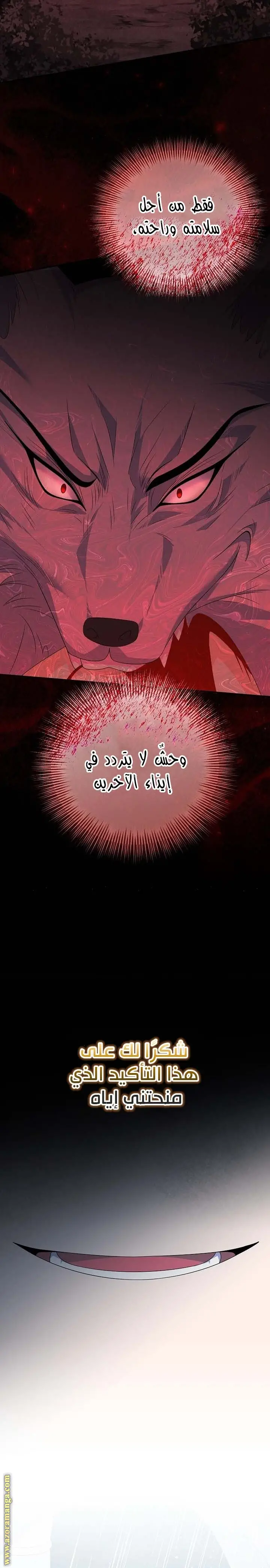 الصفحة 16