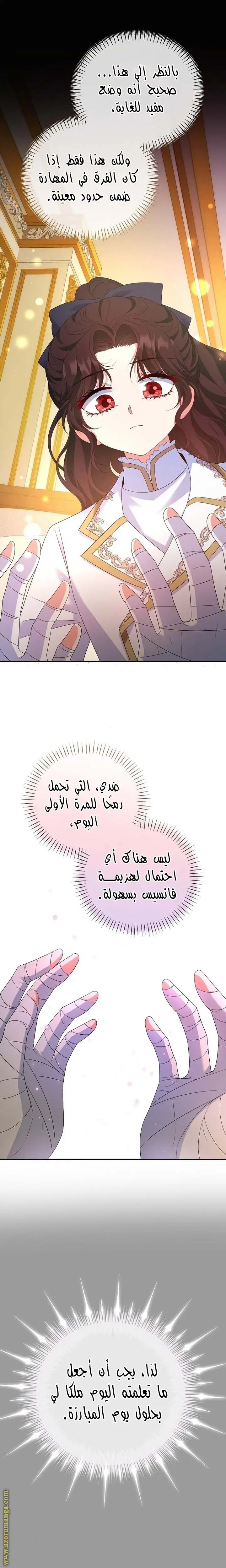 الصفحة 17