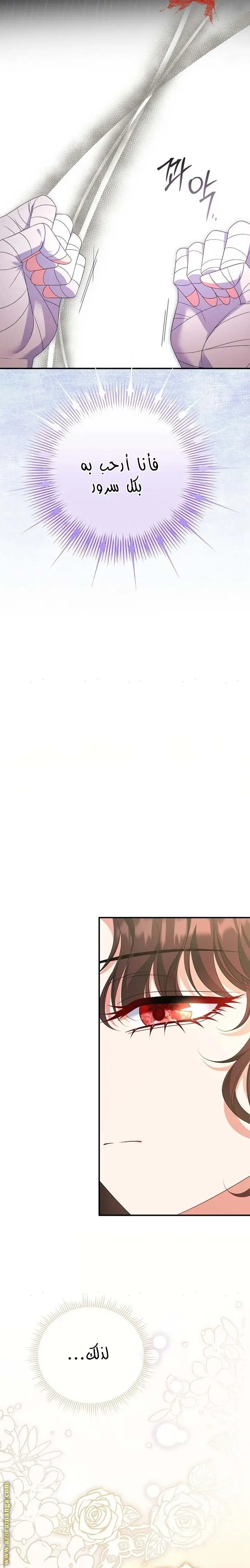 الصفحة 20