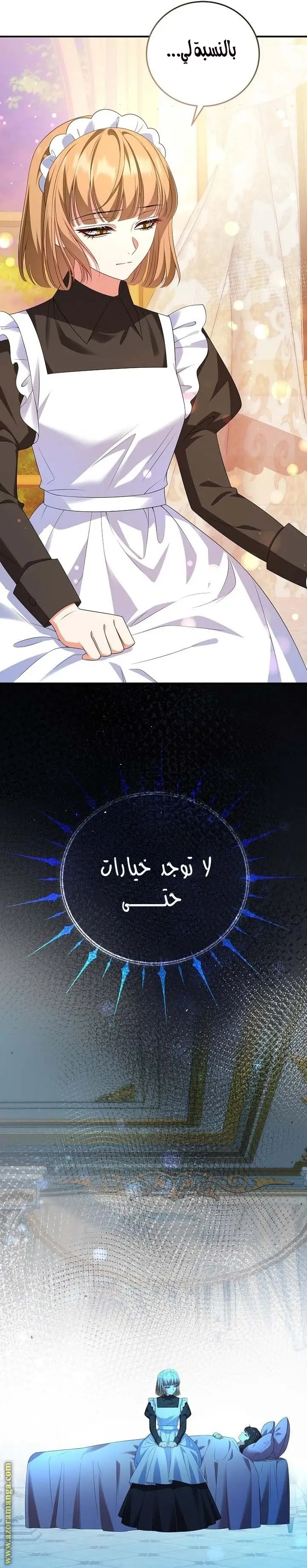 الصفحة 25