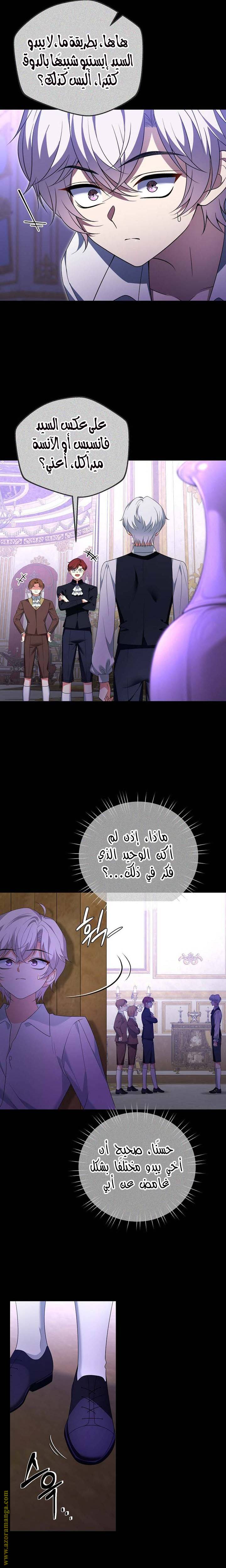 الصفحة 24