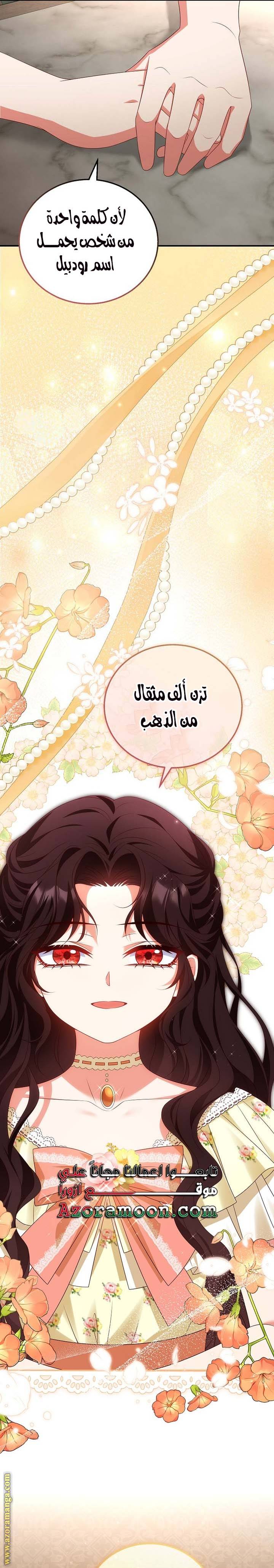 الصفحة 17