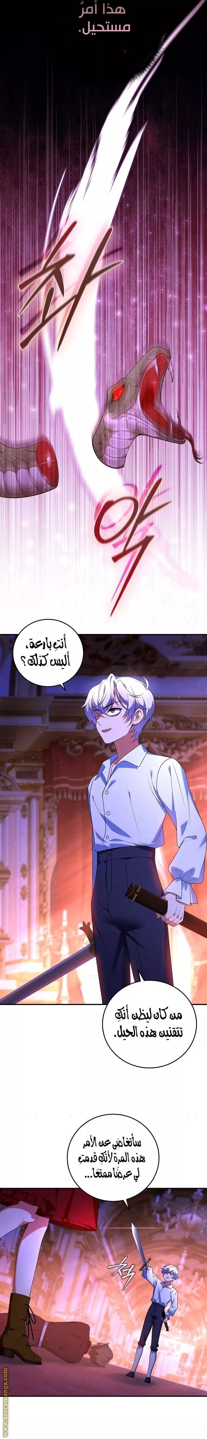 الصفحة 19