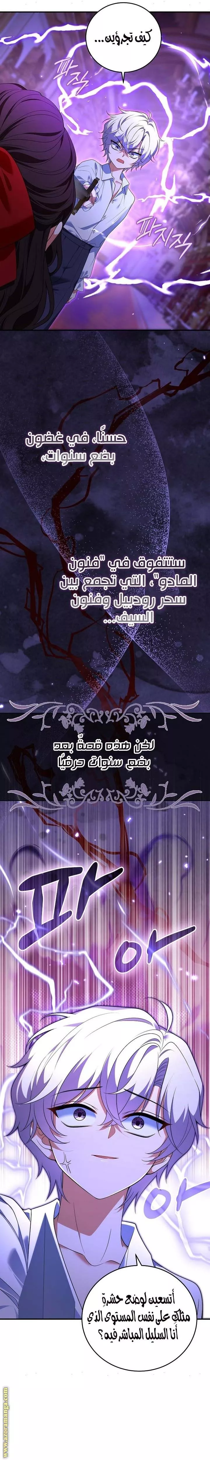 الصفحة 25
