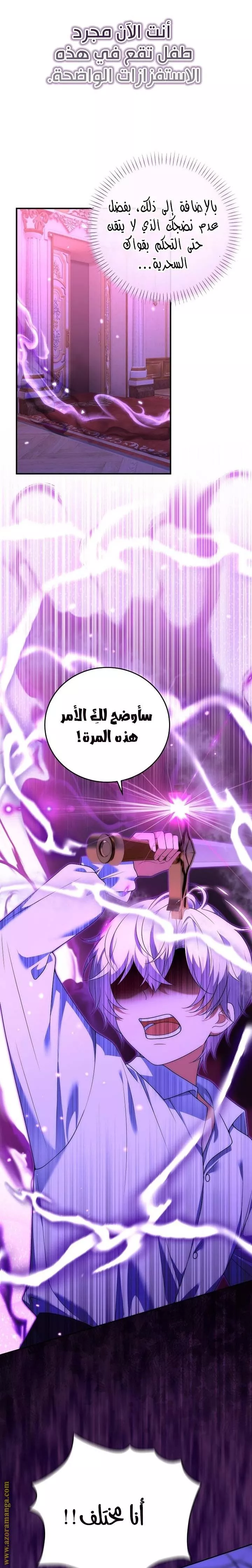 الصفحة 26