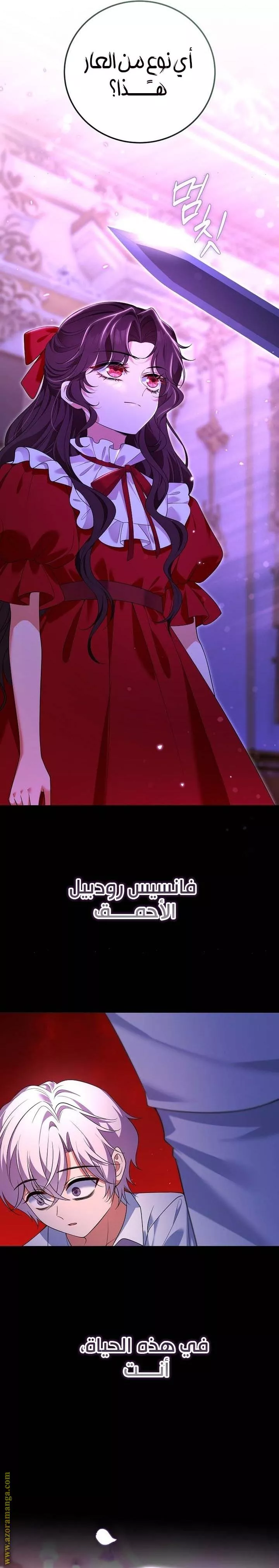 الصفحة 28