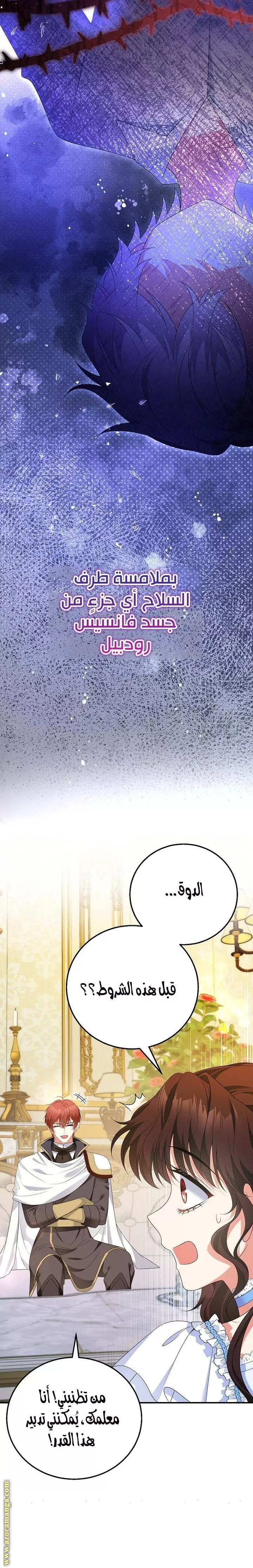 الصفحة 20
