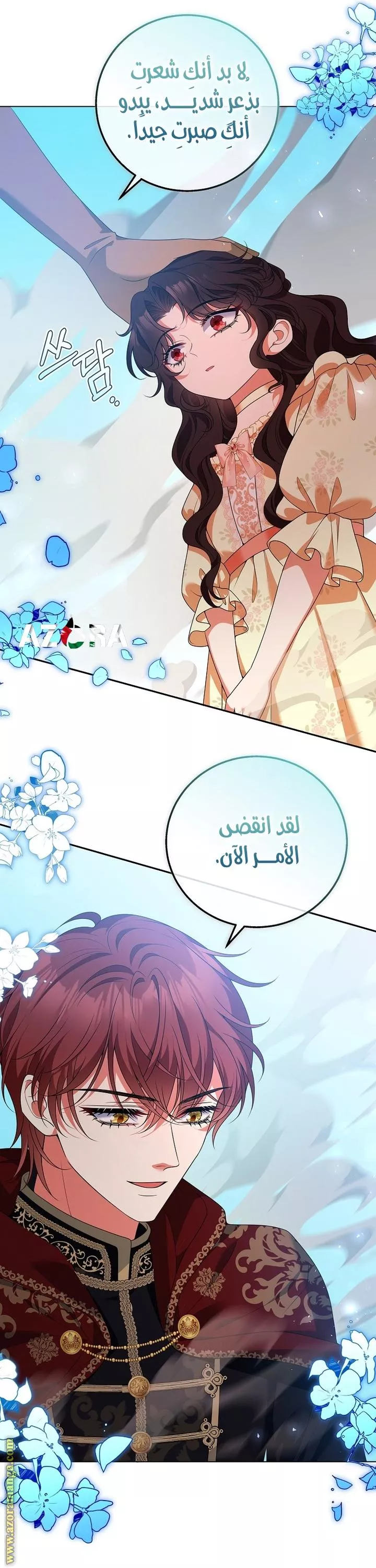 الصفحة 17