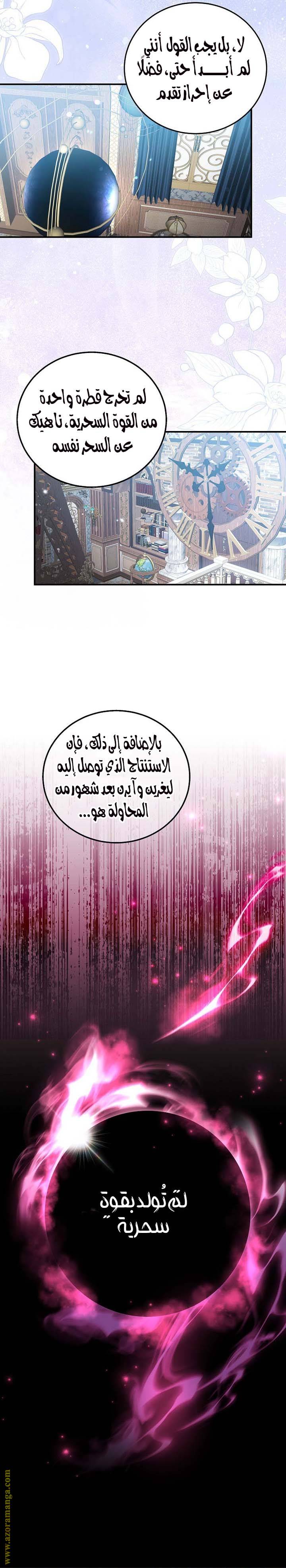 الصفحة 17