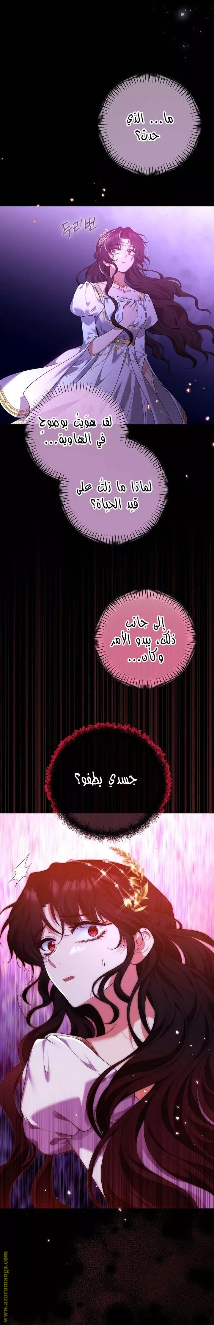 الصفحة 13