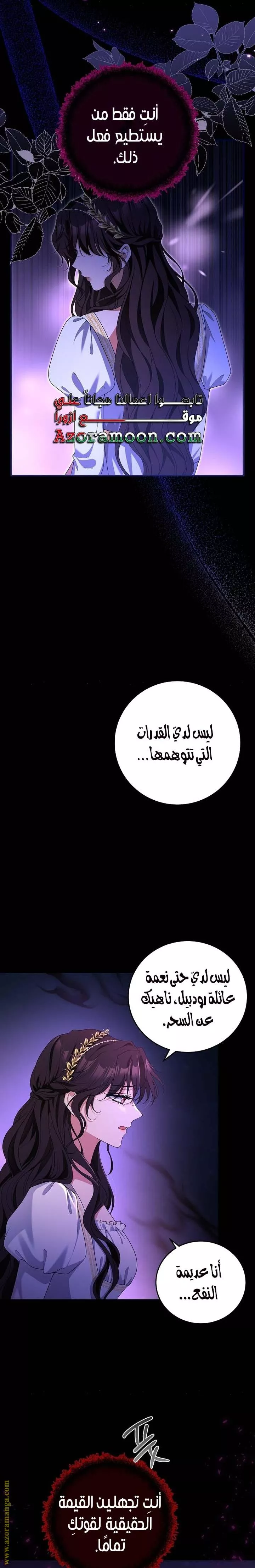 الصفحة 25