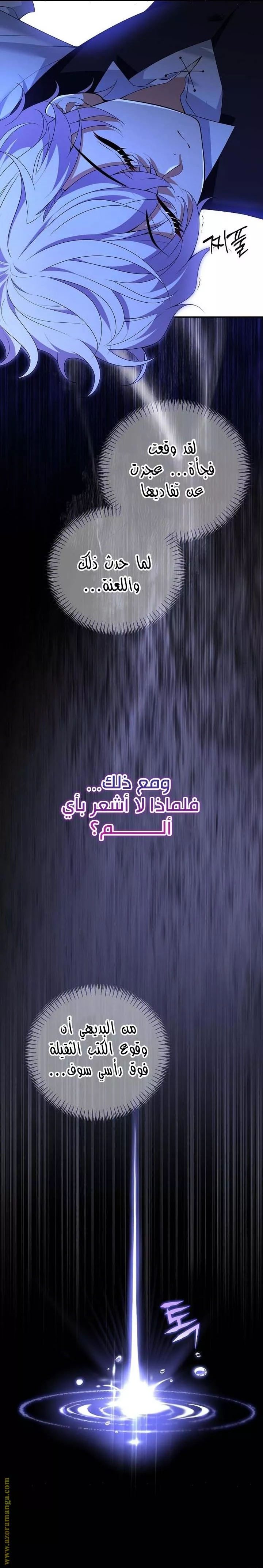 الصفحة 17