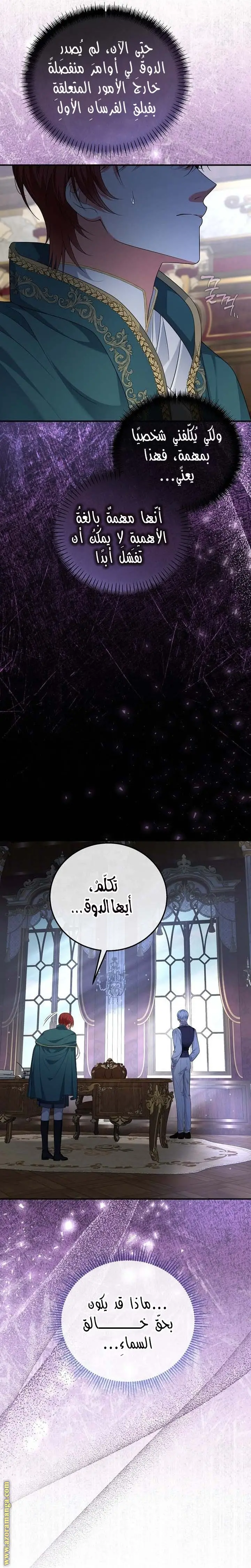 الصفحة 13