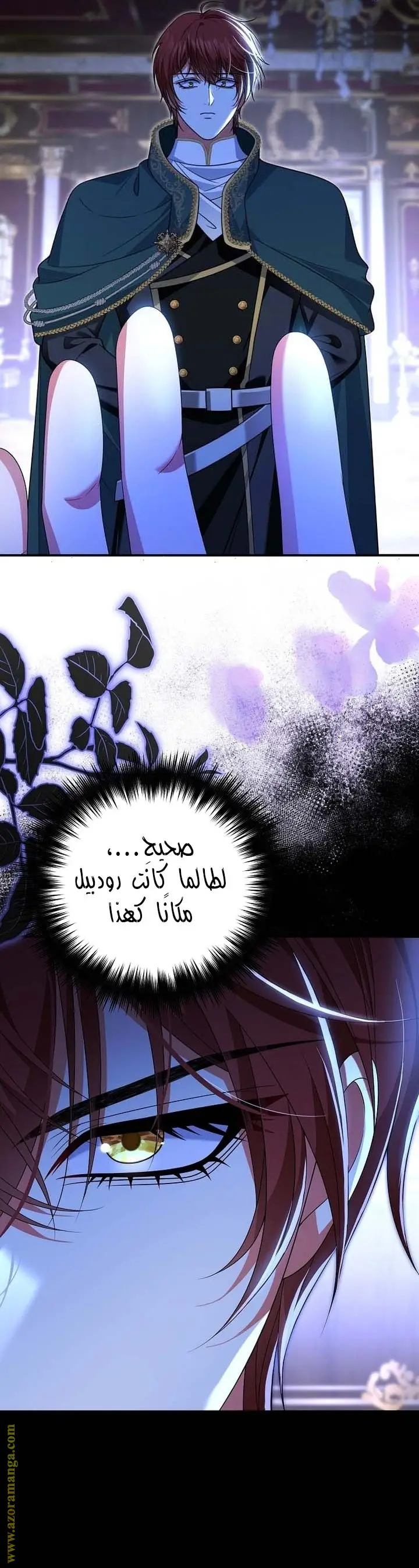 الصفحة 17