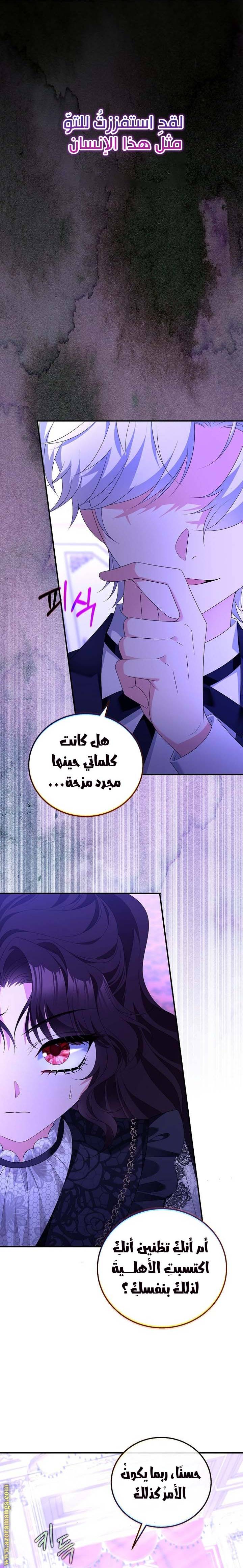 الصفحة 17