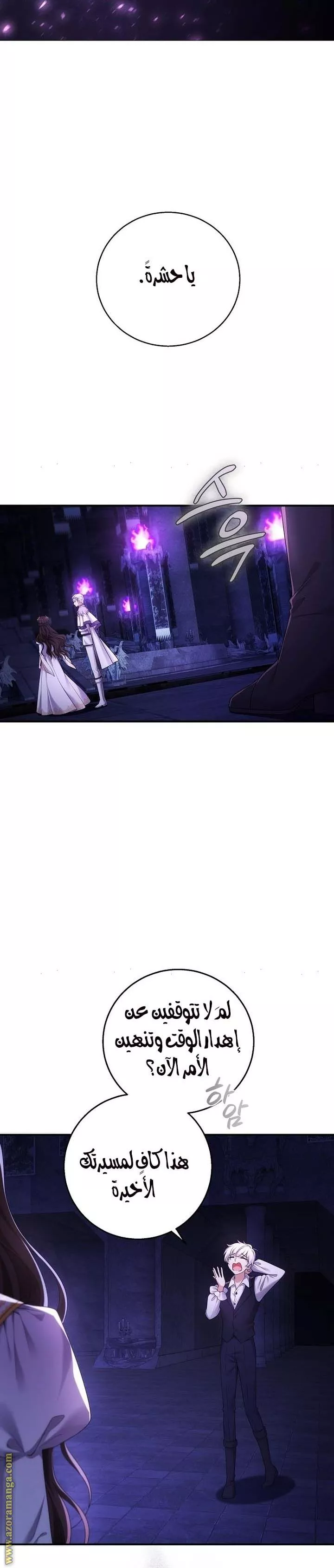 الصفحة 17