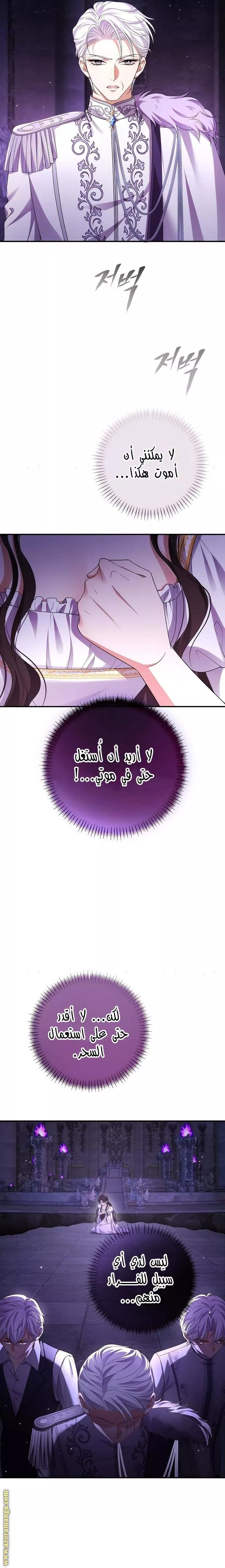 الصفحة 29