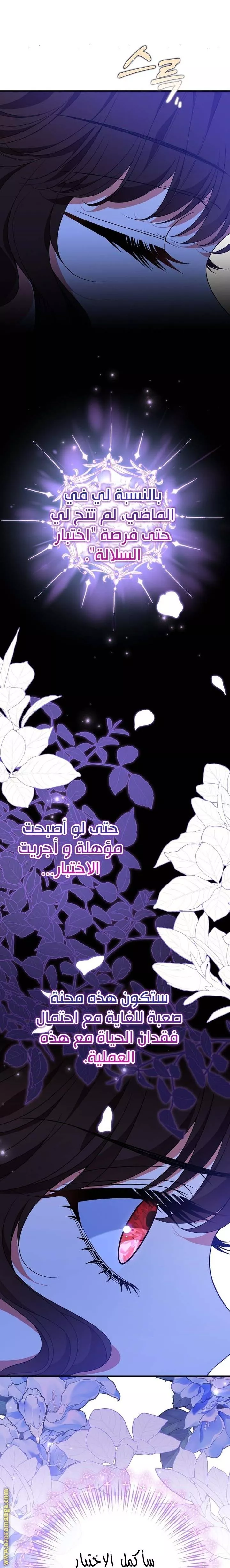 الصفحة 25