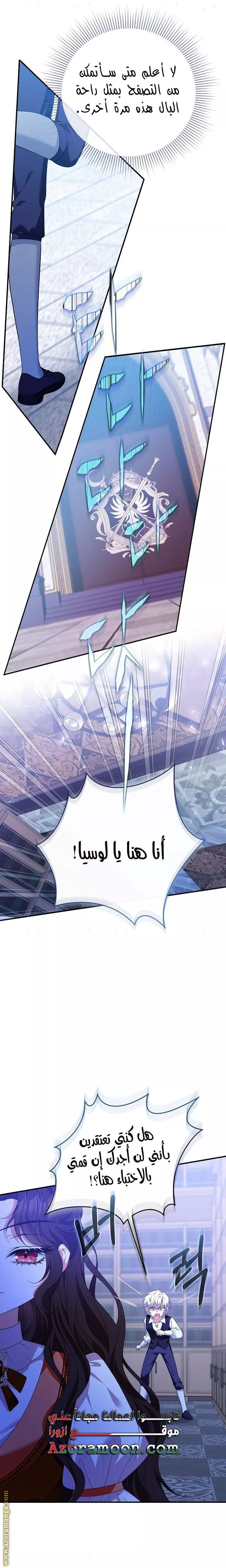 الصفحة 27