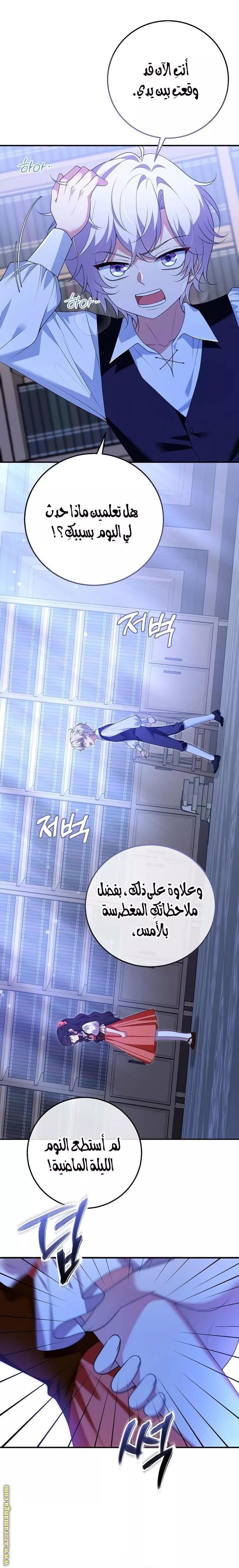 الصفحة 28