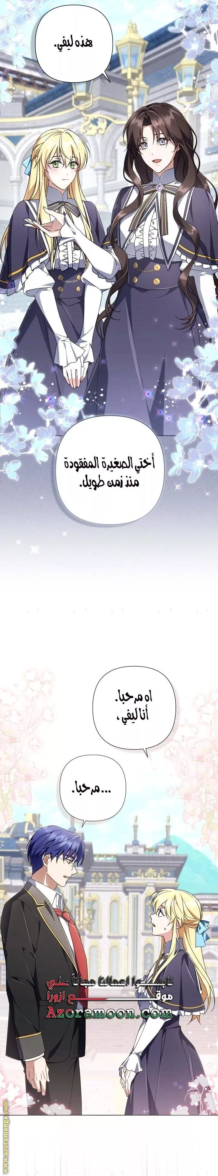 الصفحة 26