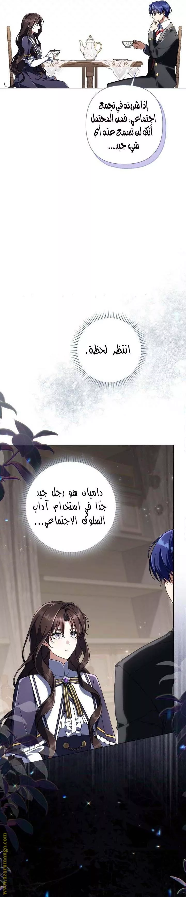 الصفحة 27