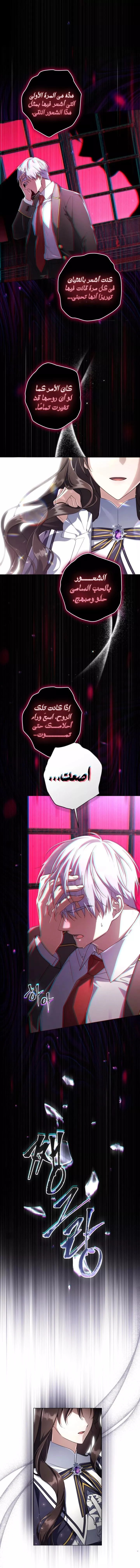 الصفحة 27