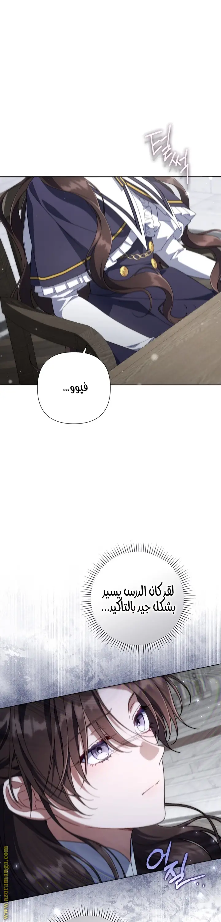 الصفحة 17