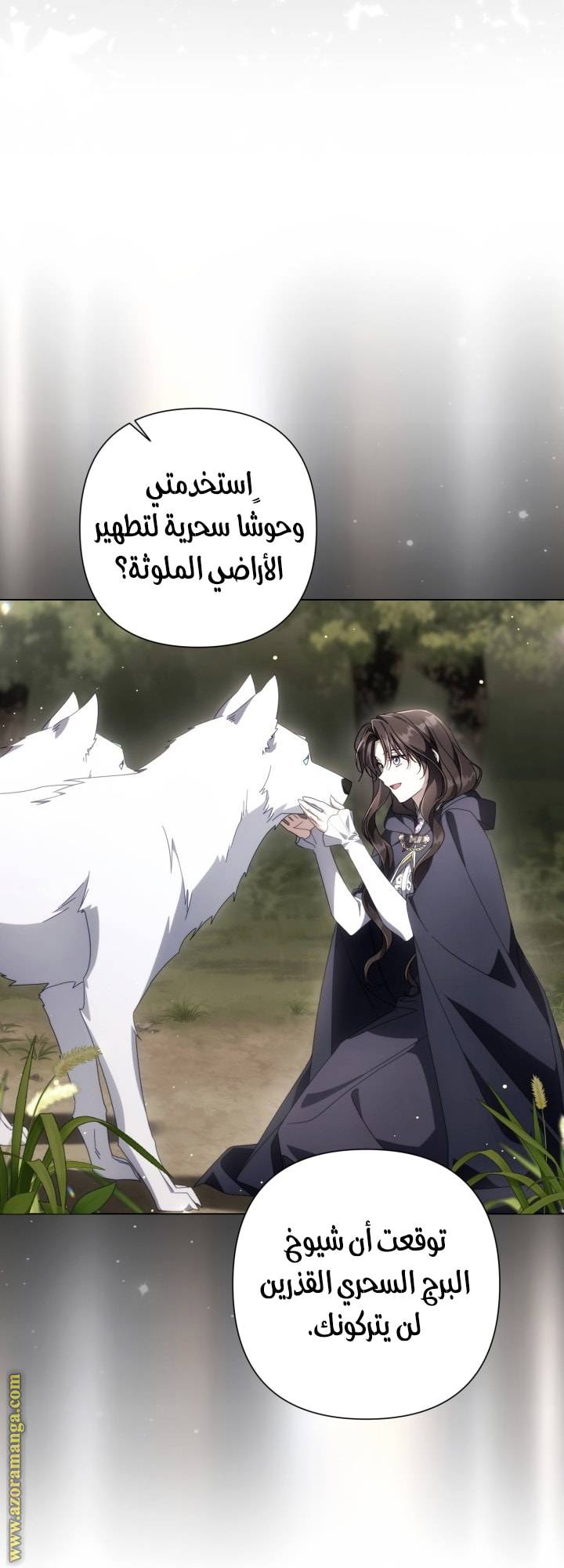 الصفحة 33