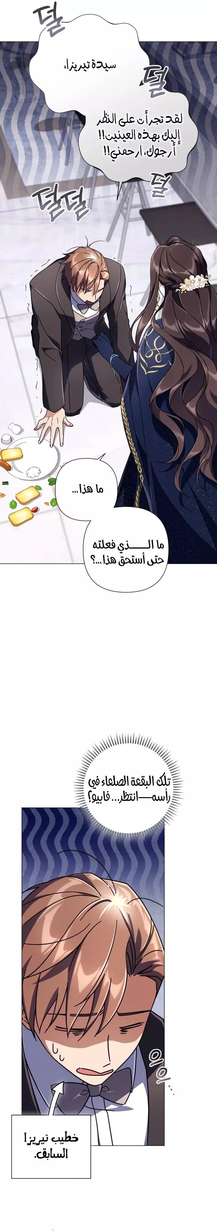 الصفحة 17