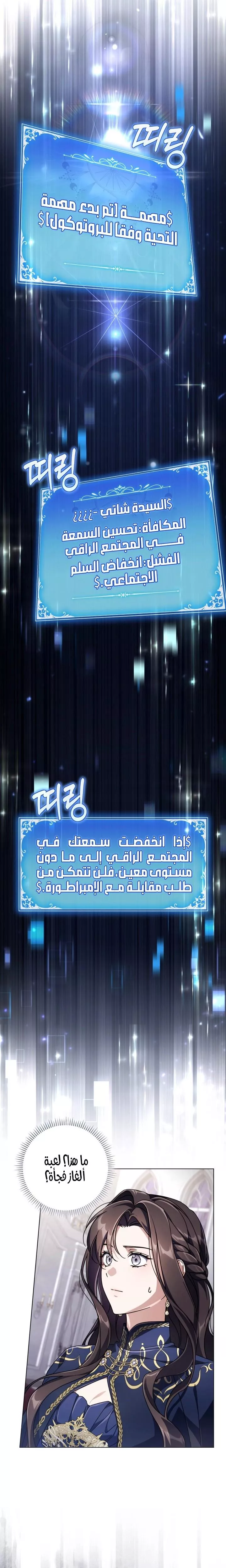 الصفحة 29