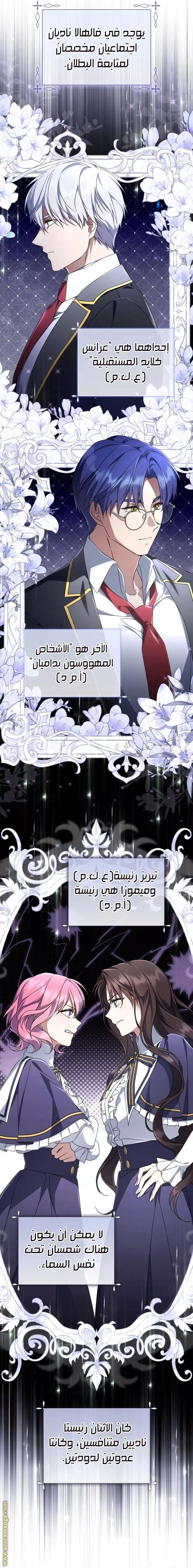 الصفحة 13