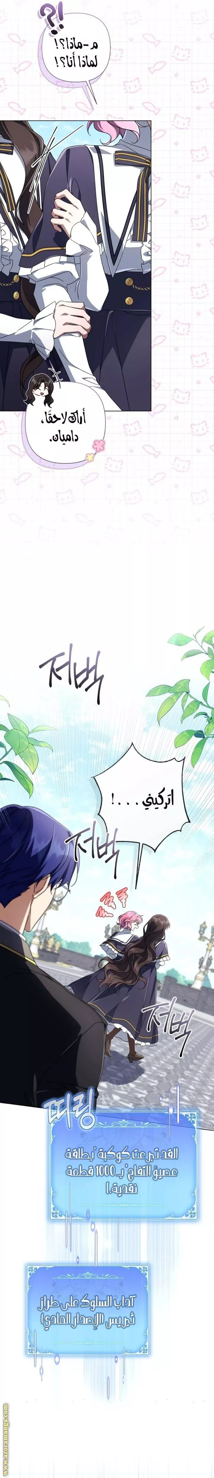 الصفحة 17