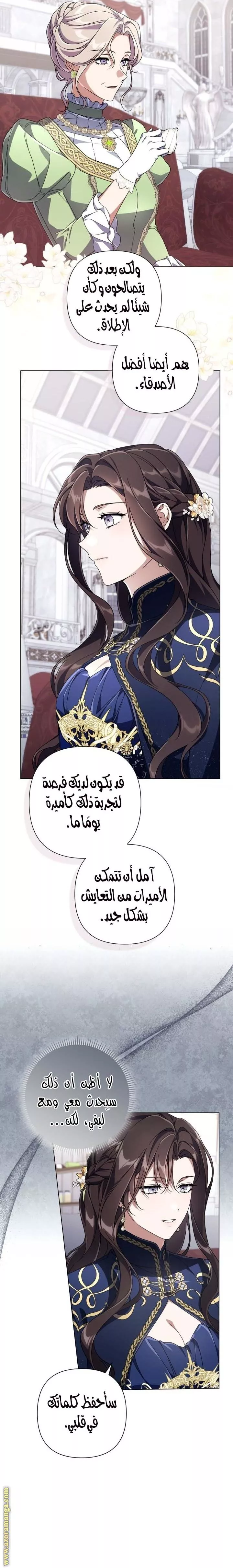الصفحة 17