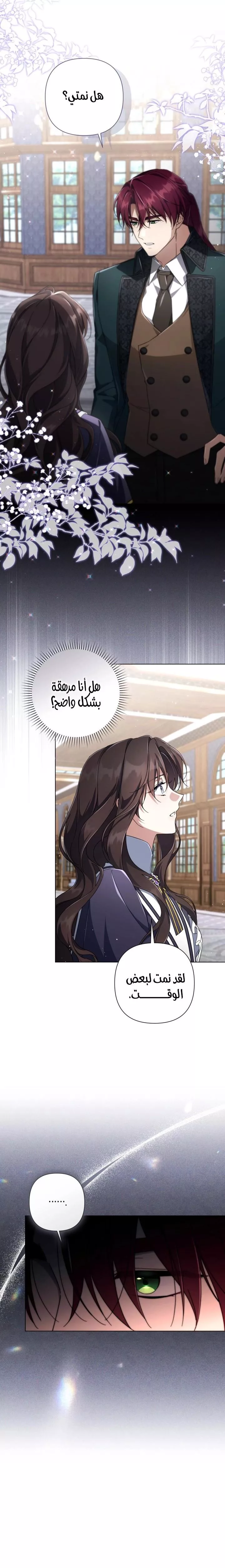 الصفحة 20