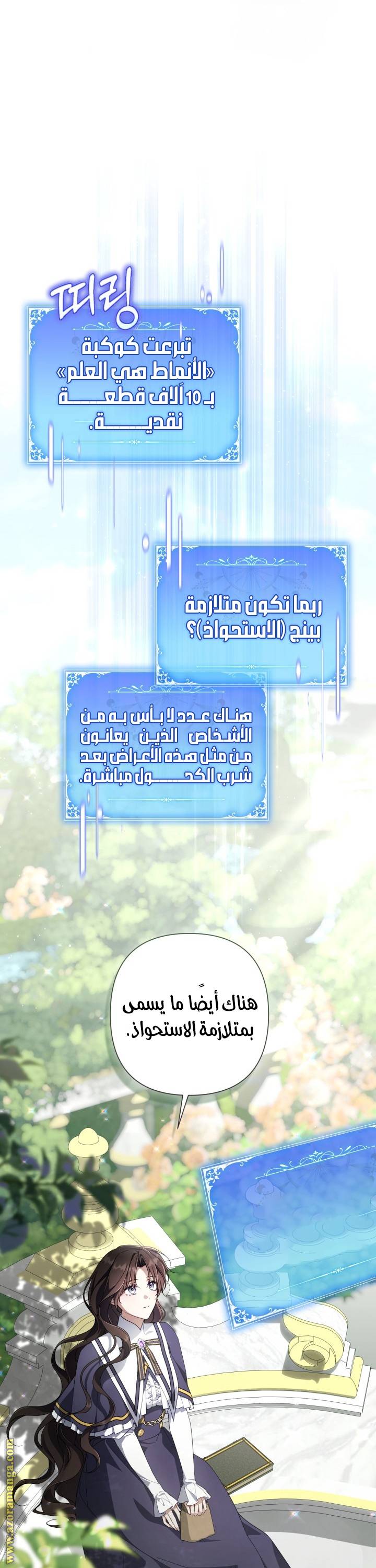 الصفحة 17