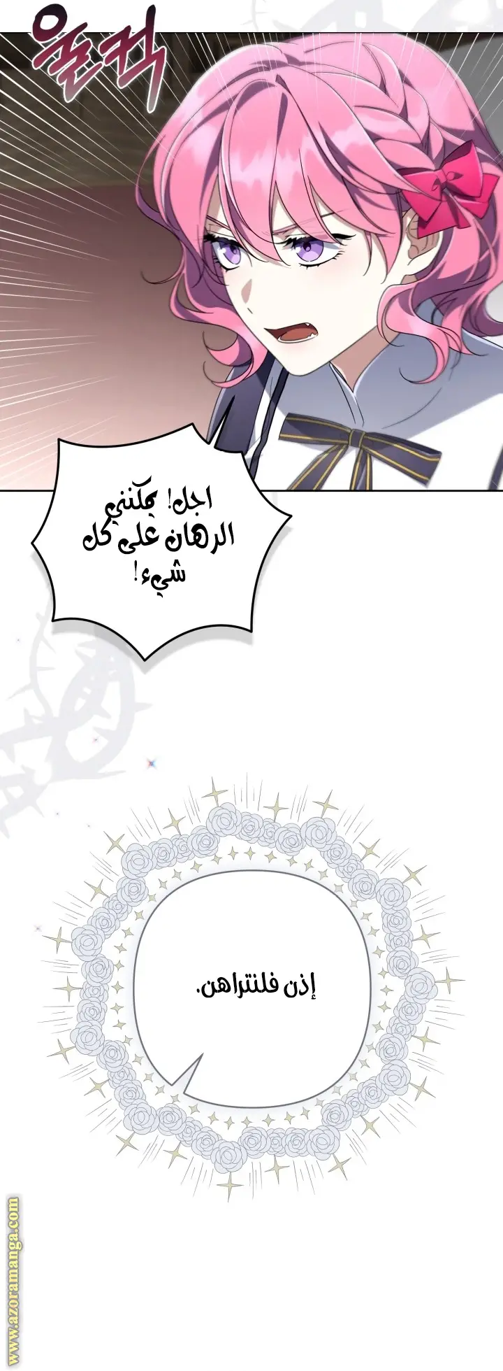الصفحة 13