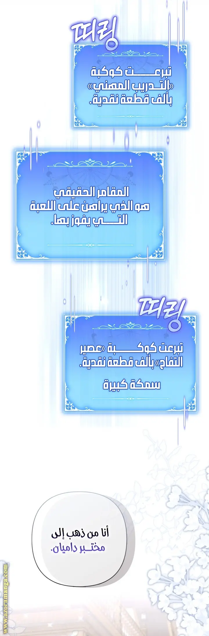 الصفحة 17