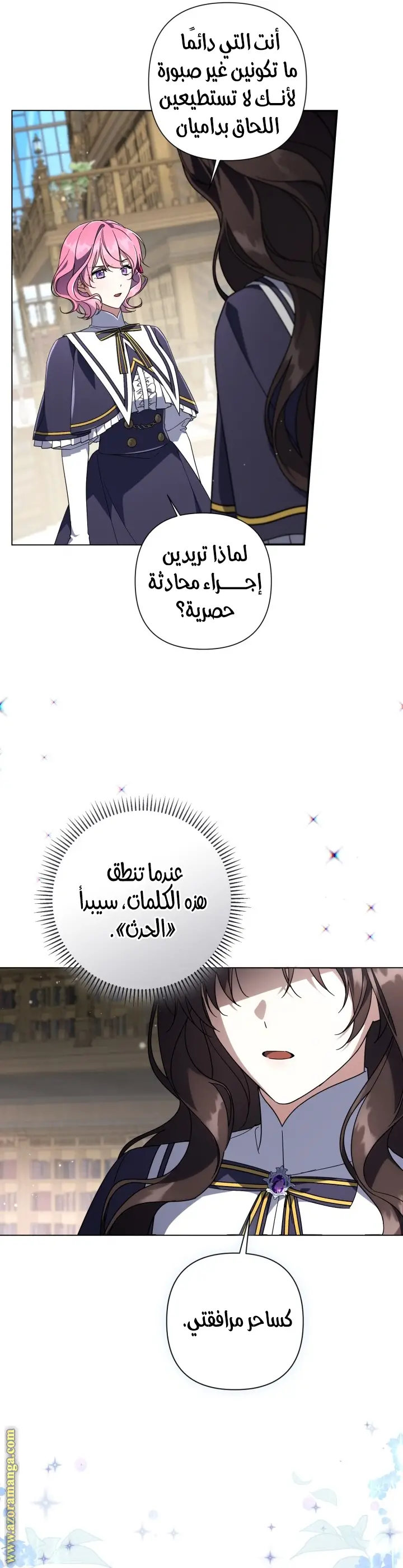 الصفحة 29