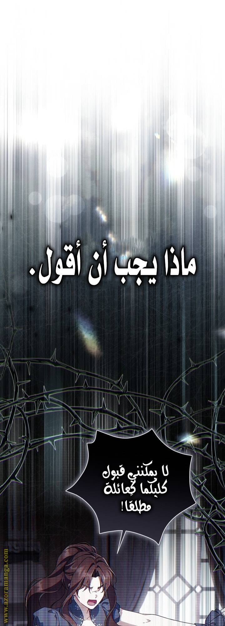 الصفحة 25