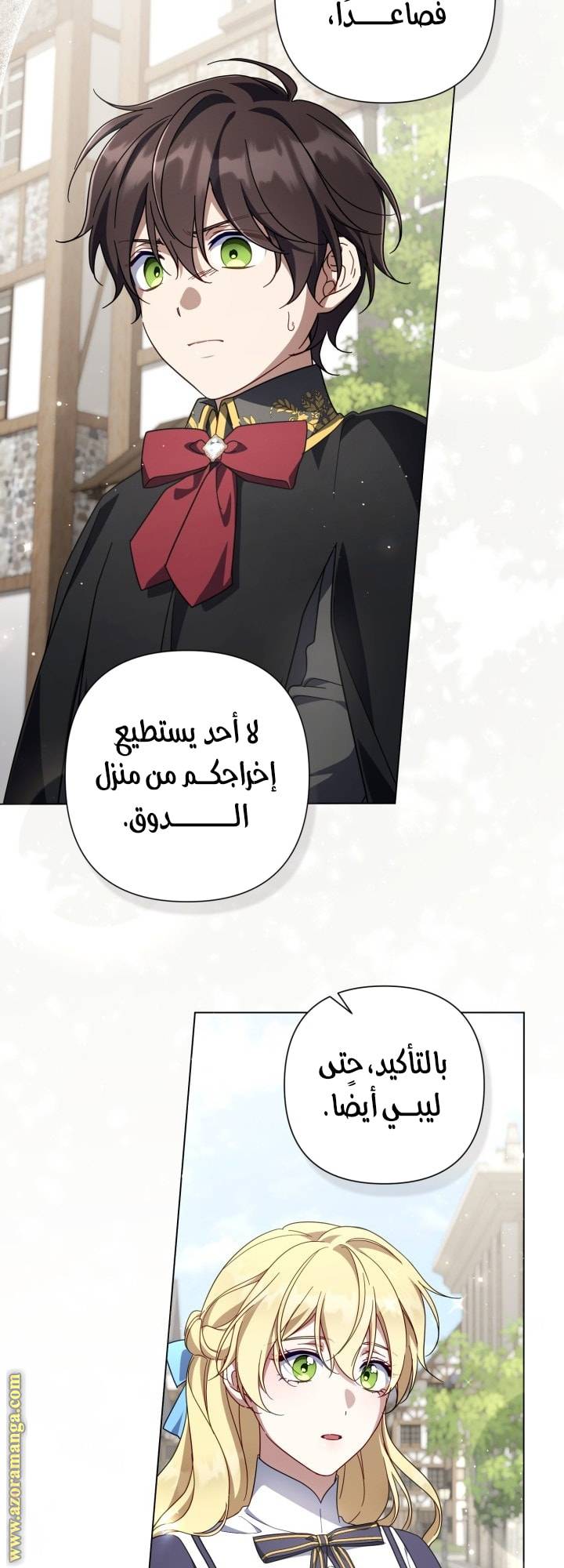 الصفحة 29