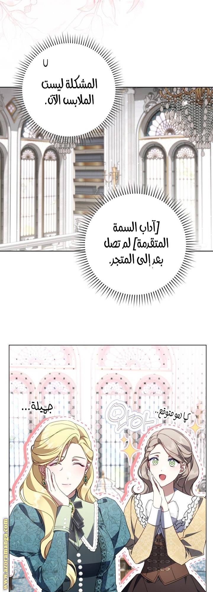 الصفحة 43