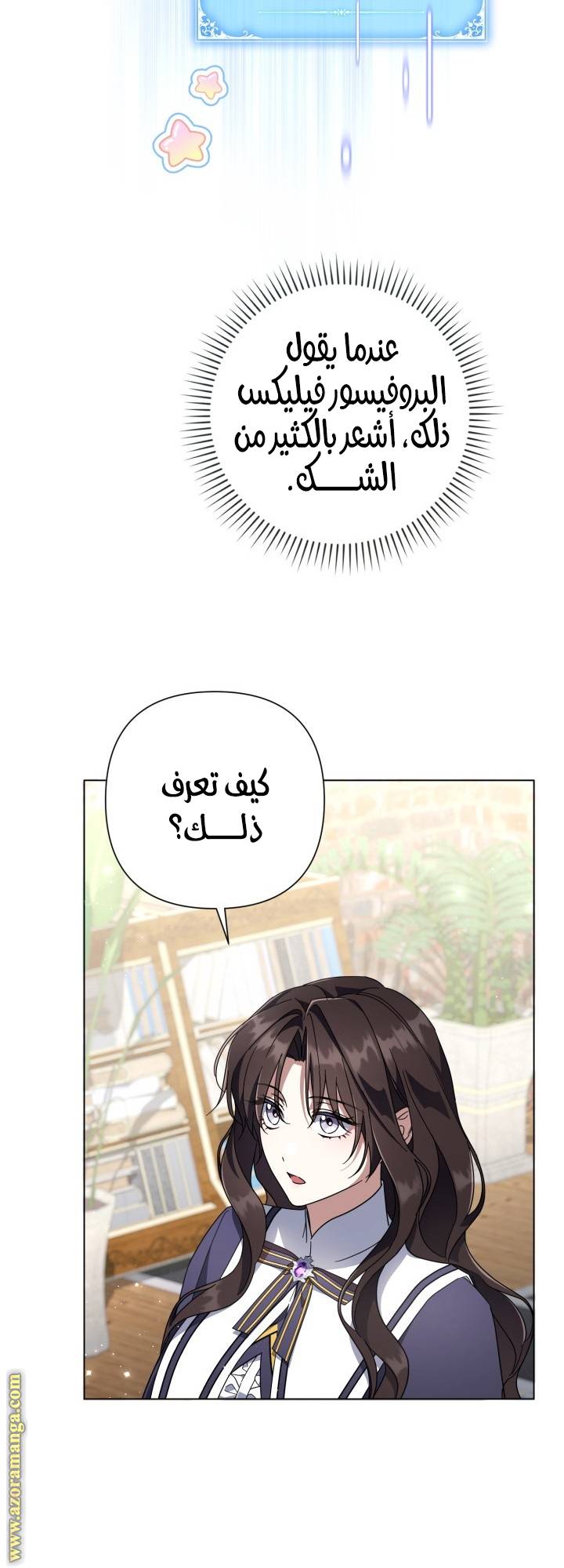 الصفحة 13